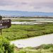 How Nature-based Solutions Can Protect Businesses from Water Risks | World Resources Institute Corporations Need to Invest in Nature-based Solutions